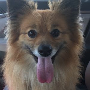 Meet your Posher, Kathryn